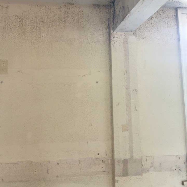 Mould-1—Before