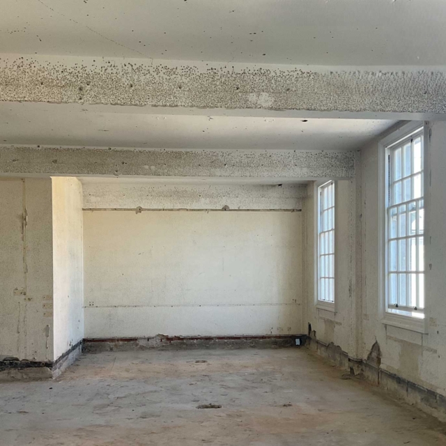Mould-3—Before