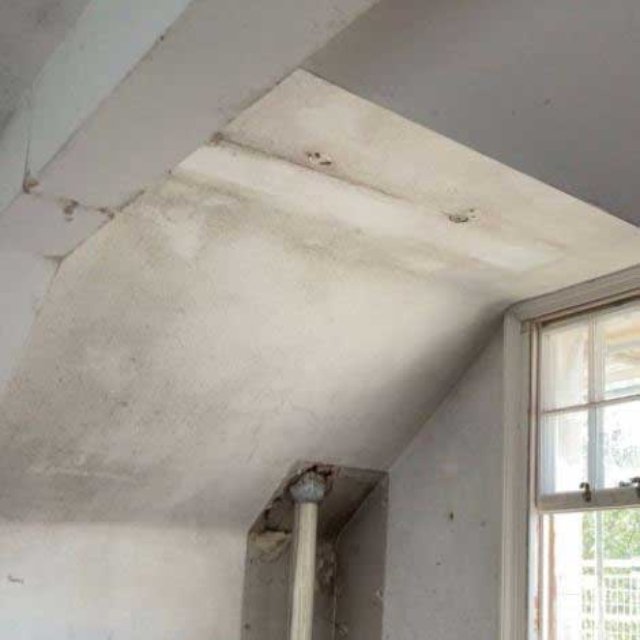 Mould-5—Before